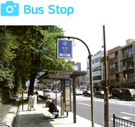 Bus Stop